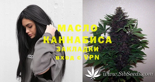 дурь Ельня