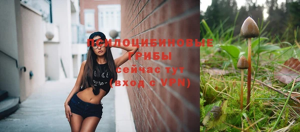 амф Алексеевка