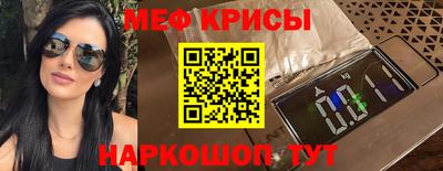 спайс Кингисепп