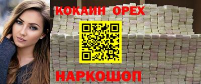 спайс Кингисепп