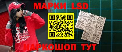 спайс Кингисепп