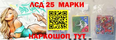 спайс Кингисепп