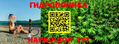 спайс Кингисепп