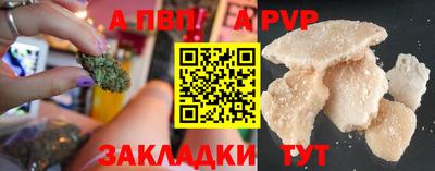 спайс Кингисепп