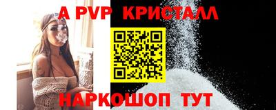спайс Кингисепп