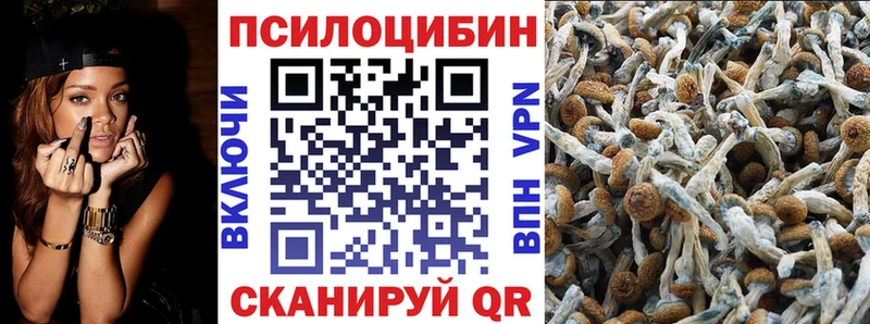 Псилоцибиновые грибы прущие грибы  закладки  Междуреченск 